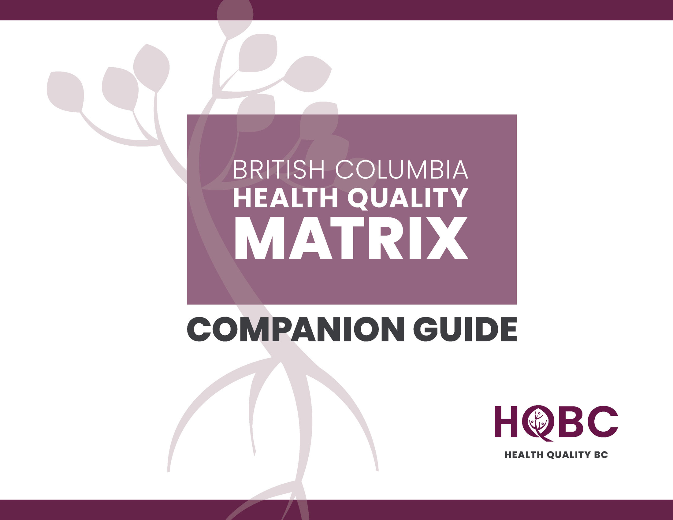 BC-Health-Quality-Matrix-Companion-Guide-Health-Quality-BC-Thumbnail